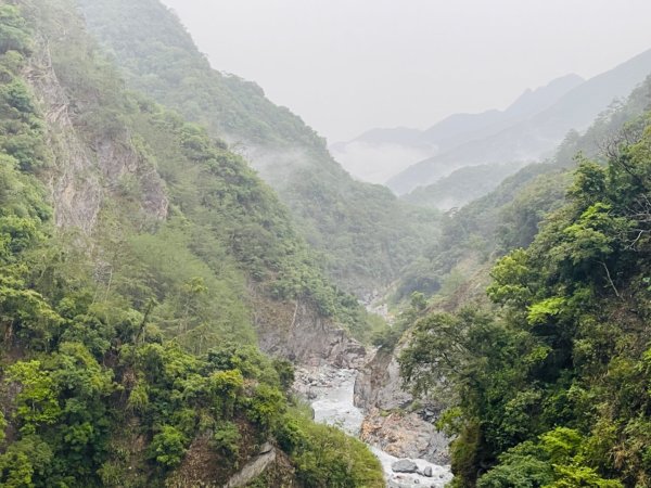 1130809向陽森林遊樂區。天龍-六口溫泉健行。2575879