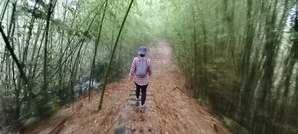 2025/04/25_苗栗鐘樓古道2771179