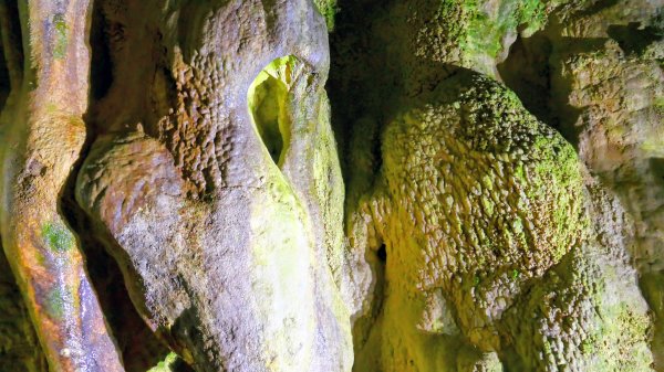 地心年輪之飛驒大鐘乳石洞2982442