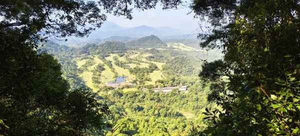 2025/08/09_赤柯山+東獅頭山步道2856296