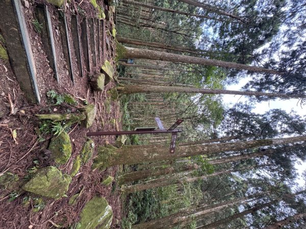 2025/04/04小百岳第022「東眼山」2753254