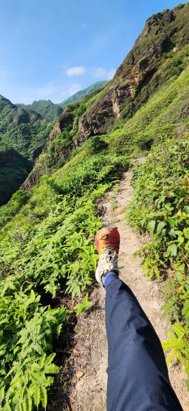 速攀330，郊山之王劍龍稜3045851