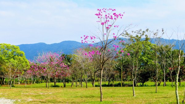 豐之谷,理想大地,林田山,立川漁場3007280
