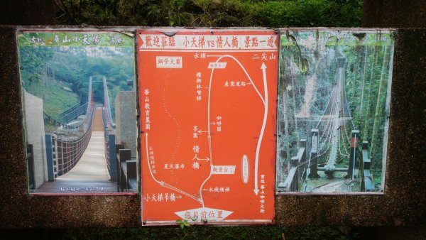 大尖山的步道1846336