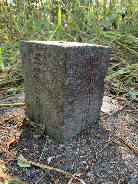 20251115台南南庄山2938056