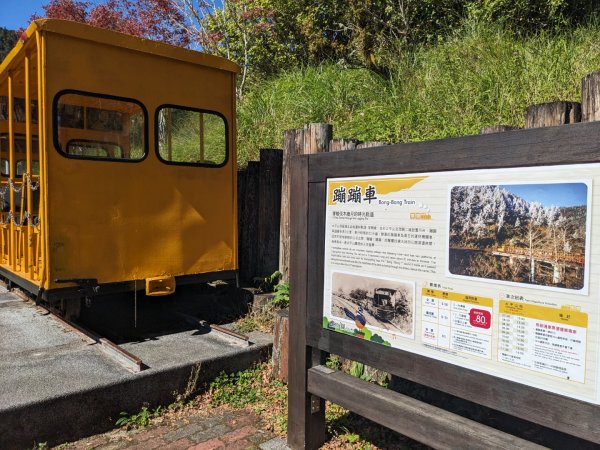 太平山國家森林遊樂區-蹦蹦車3137084