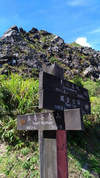 揮汗濕滿衫!喜登茶壺山146932