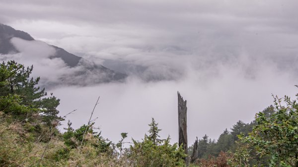 玉山前峰-翻越石瀑的第五座百岳之旅。2254862