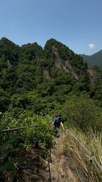 孝子山、普陀山、慈母峰賞鹿子野百合O走2592963