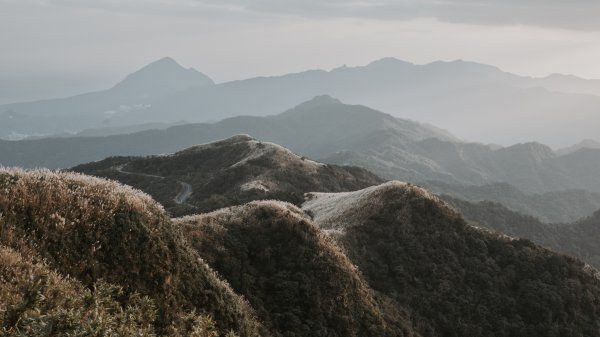 菅芒浪白｜五分山2356421