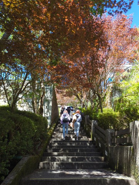 2025.09.28－太平山森林遊樂區2898771