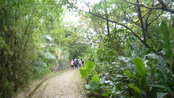 台北大縱走7：尋寶任務：指南宮/政大1009092
