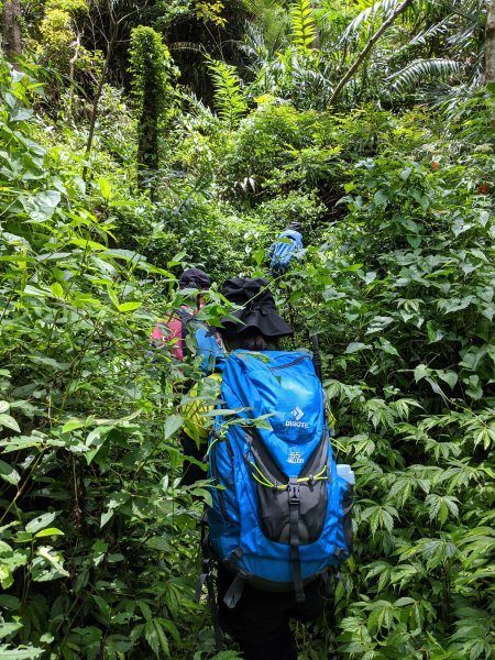 【屏東-小百岳】三大郊山 里龍山O走1025773