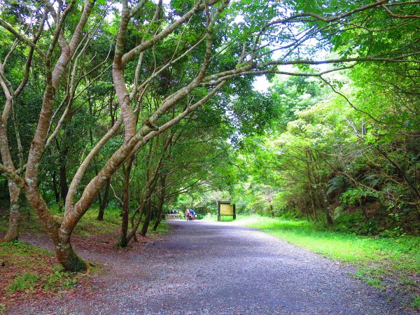 【宜蘭礁溪】清涼一夏：林美石磐步道389873