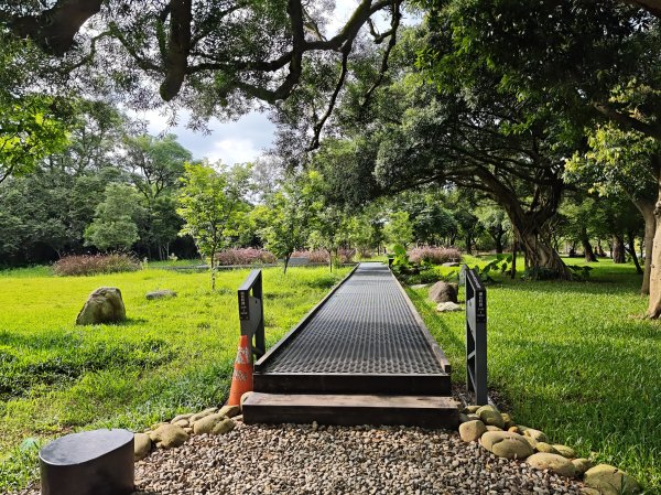 [霄裡好風光，運動樂悠遊！-6/10] 2025_0608 大湳森林公園2808219