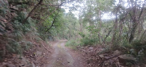 2025 4/5 加奈美山2754443