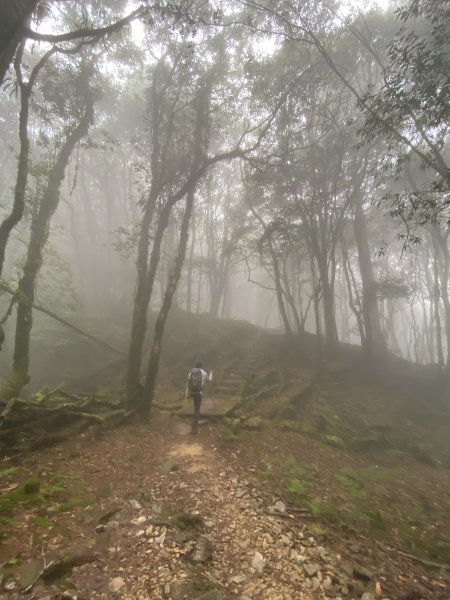 20200315_松鶴上八仙山889187