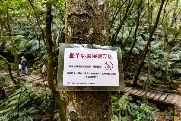 大崙頭尾山｜小百岳2756489