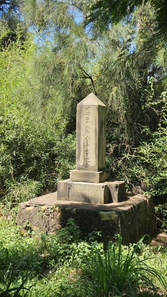 20250628白龍縱走(白沙屯山-半天寮山-公司寮山)2827835