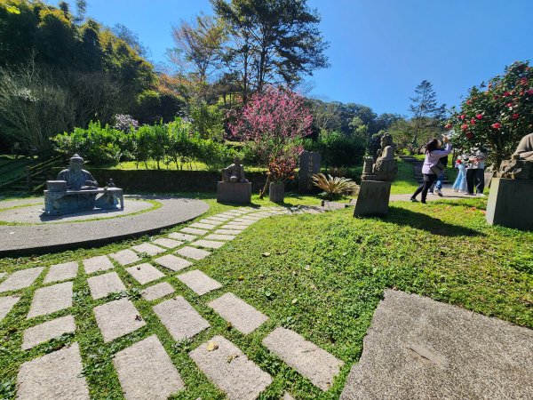 20260214磨碧潭山(坪林上三角崙山失敗中途撤退)回程順遊大尾山步道鬼子瀨尖3010927