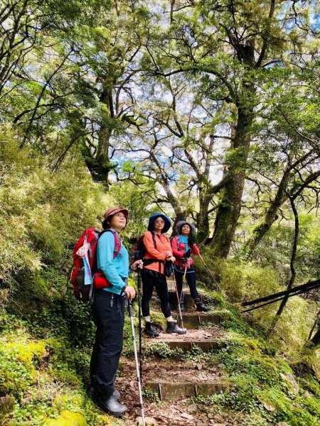 塔塔加黑森林2668035