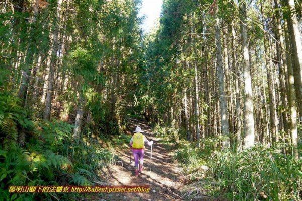 【路線】鳥嘴家族大集合！5條鳥嘴步道