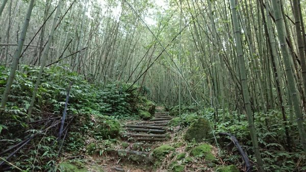 馬拉邦山上湖登山口O型走1069019