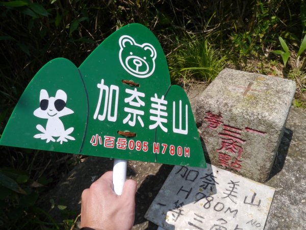 加奈美山(從加津林聯外道路)1324389