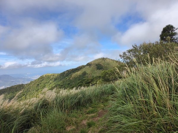 [百山百鳥尋旅-11/15] 2025_0927 大屯主峰-連峰步道_大屯山南峰2899385