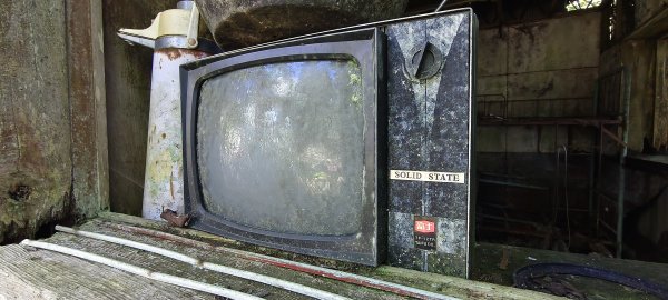 2025/06/15_盡尾山步道2812742