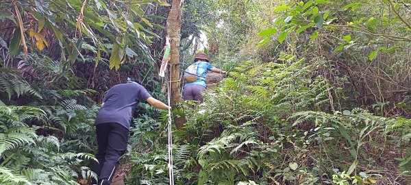 20230929_槓子寮山+砲台步道2300860