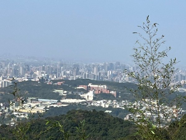 2025-0204 鶯歌_大凍山_三角埔頂山_迴龍2708032