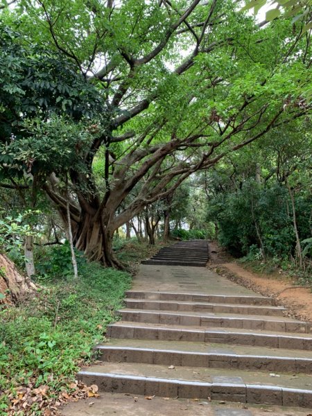 劍潭山（小百岳）830396