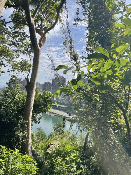 【二格山系】和美山螢火蟲2852562