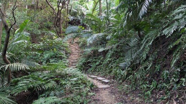 114.11.22鳶山彩碧-鳶山-鳶尾山之旅2943522