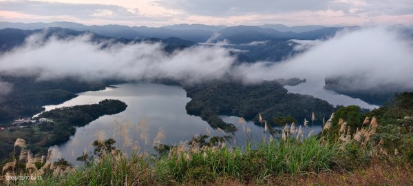 跟著雲海達人山友追雲趣 #鱷魚島 #日出 #雲海 #斜射光 2/102995964