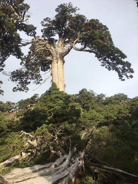 雪山東北主峰-2018/6/29~7/1828058