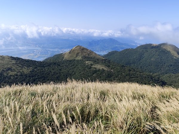 【臺北大縱走 2】【第二回合全程完成證書】鞍部→大屯山步道→大屯山主峰→大屯坪步道→二子坪步道2960373
