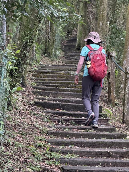 獅仔頭山 2025.07.202864262