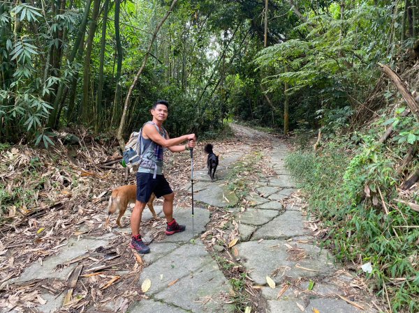 白雲山.白雲仙谷【甲仙獨有的白雲套裝行程】2329920