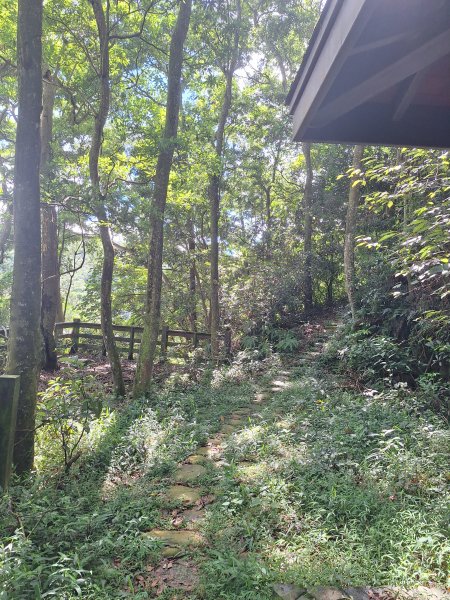三義挑炭古道(三通嶺古道)11508233115411