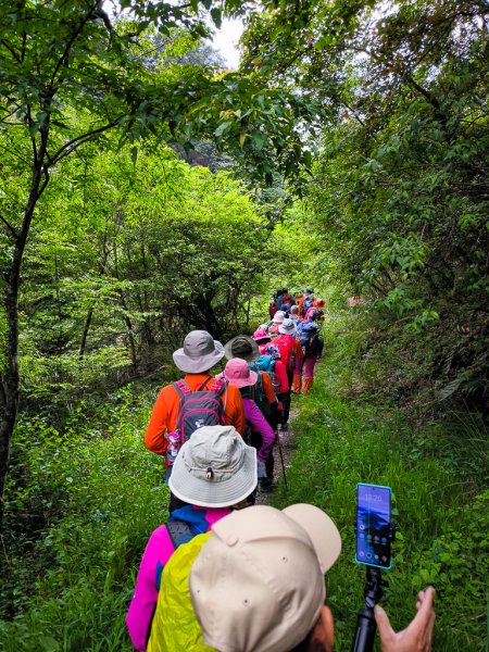 2025-05-17 羅葉尾溪秘境2792407