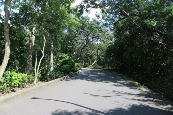 〔清水〕鰲峰山步道，高美濕地，牛罵頭遺址文化園區〔香山〕濕地步道〔苗栗〕九華山天空步道，好望角步道2194876