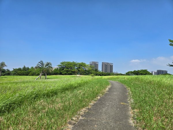 高雄都會公園3119768