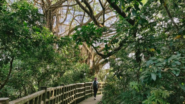 【台灣健行】壽山國家自然公園2664213