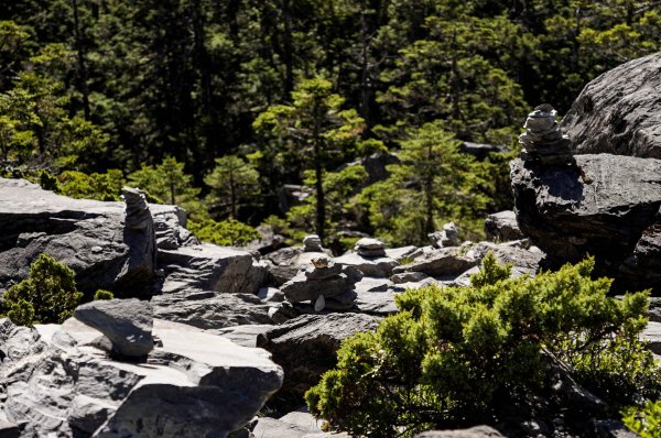帝王之座-南湖主峰線｜南湖大山＋南湖南峰＋巴巴山2884957