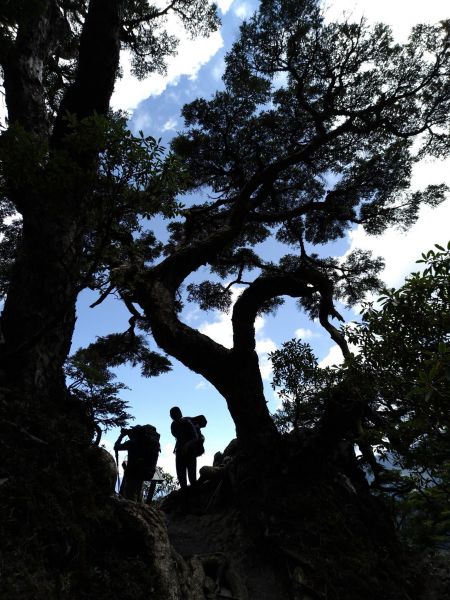 兩天一夜武陵四秀（池有,品田,桃山）376083