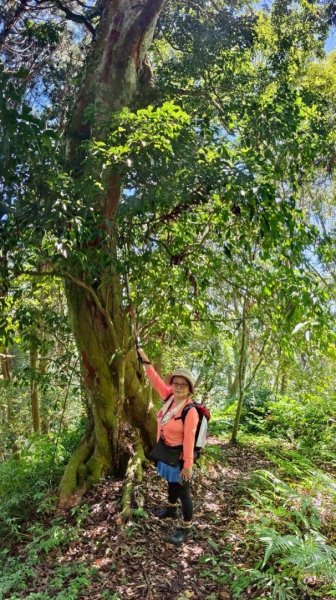 瞭望台-瓊山-望美山-獵人古道2886907