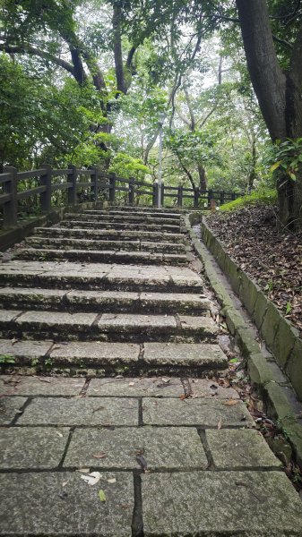 2025-0512內湖到中社2784801