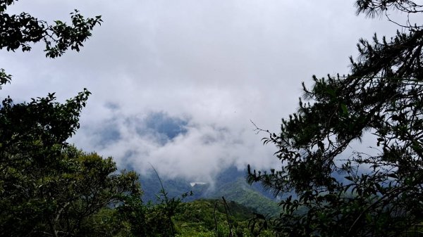 20230622 苗栗-雪見 東洗水山及北坑山 走走2193086